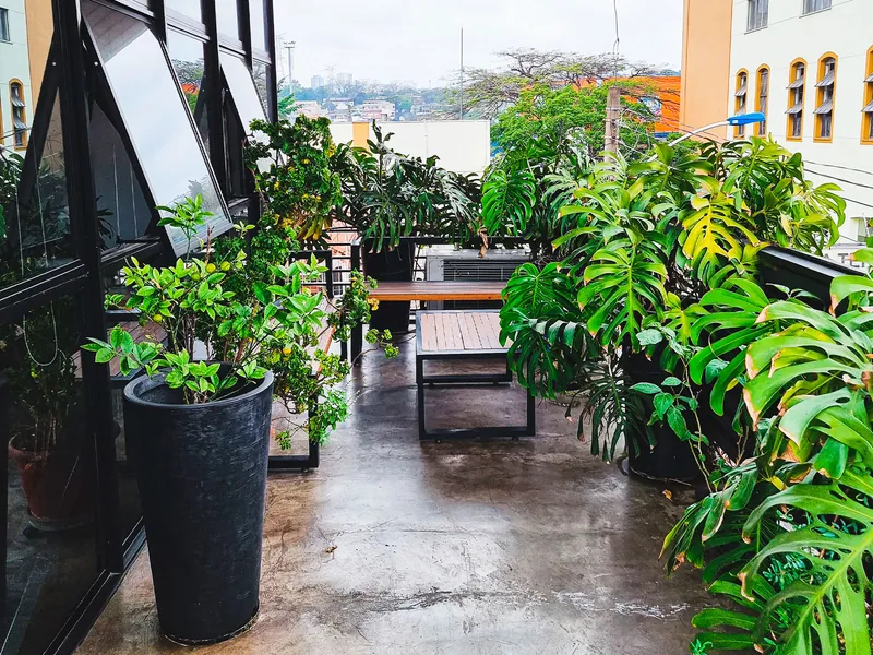 Varanda com plantas tropicais, bancos de madeira e piso de cimento queimado ao lado das janelas do coworking