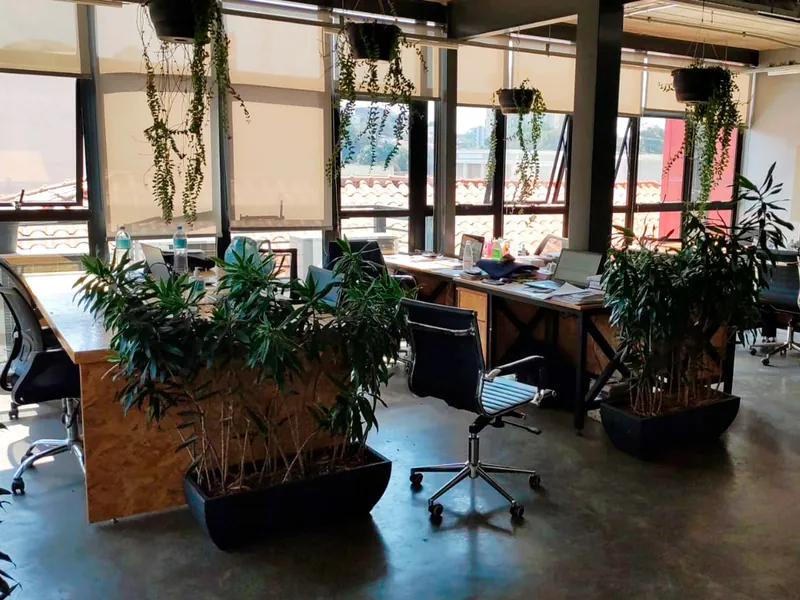 Mesas de trabalho do coworking separadas por floreiras, com plantas pendentes e janelas com persianas