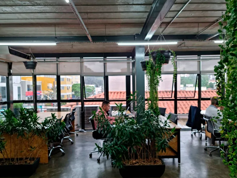Salão do coworking com plantas pendentes, iluminação em LED e janelas de ponta a ponta